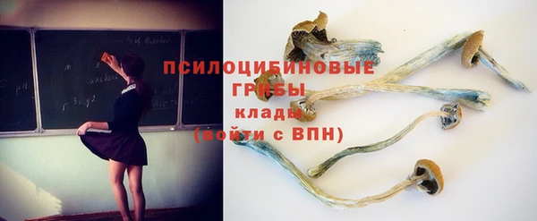 a pvp Белокуриха