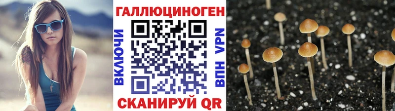 Галлюциногенные грибы мицелий  Кизел 